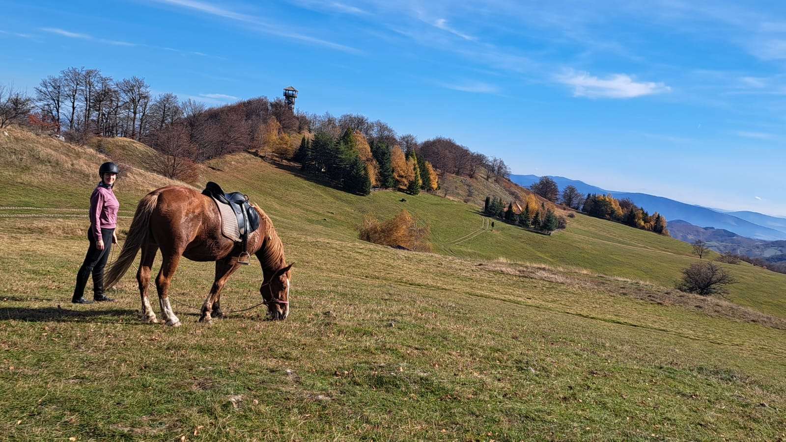 Povlen horsback riding