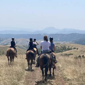 Sumadija trail