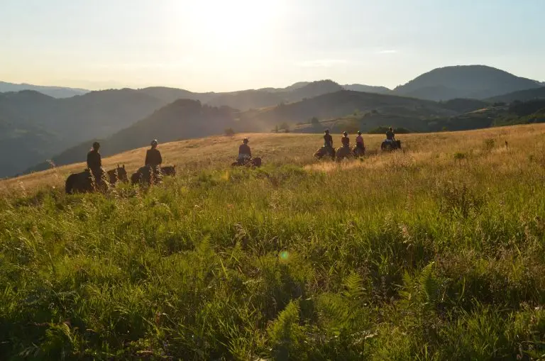 Certified guide leading a group of riders through nature trails