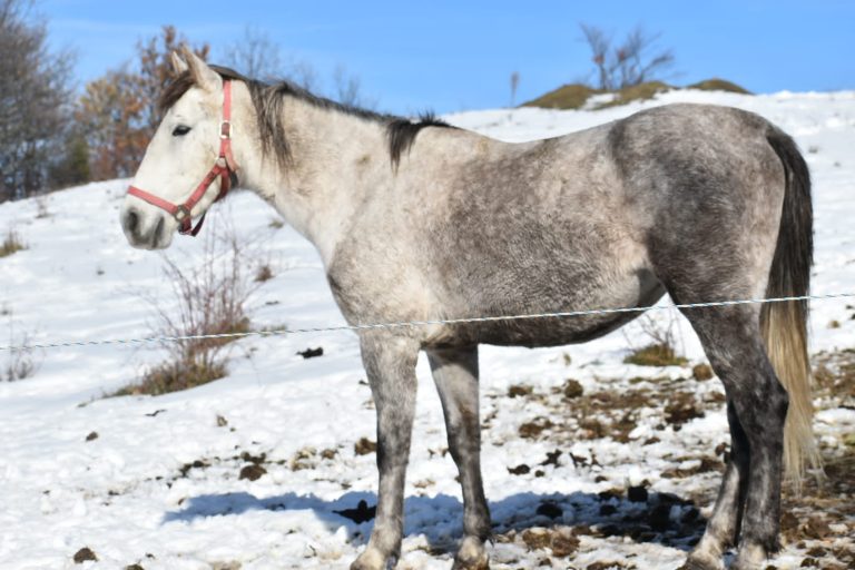 WhatsApp Image 2024 11 26 at 45845 PM