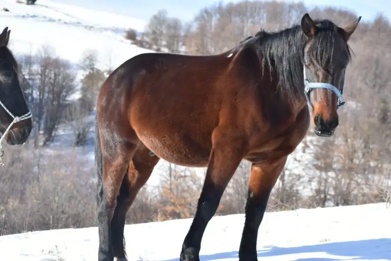 WhatsApp Image 2024 11 26 at 45845 PM