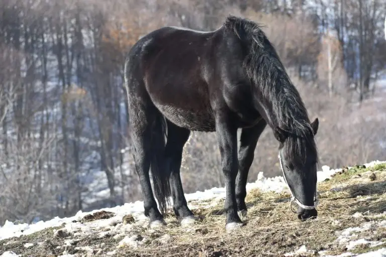 WhatsApp Image 2024 11 26 at 45845 PM