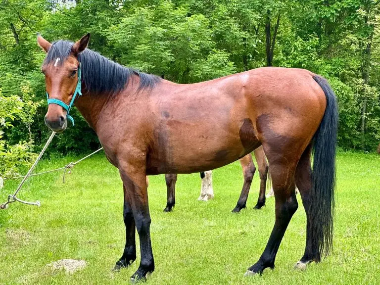 WhatsApp Image 2024 11 26 at 50914 PM