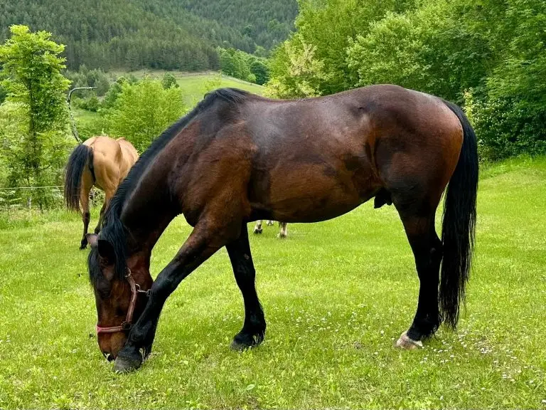 WhatsApp Image 2024 11 26 at 50915 PM