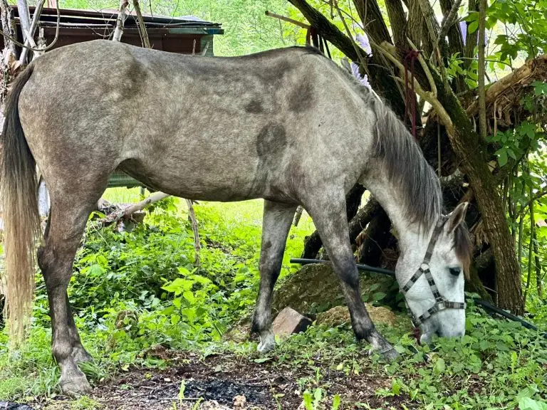 WhatsApp Image 2024 11 26 at 50916 PM