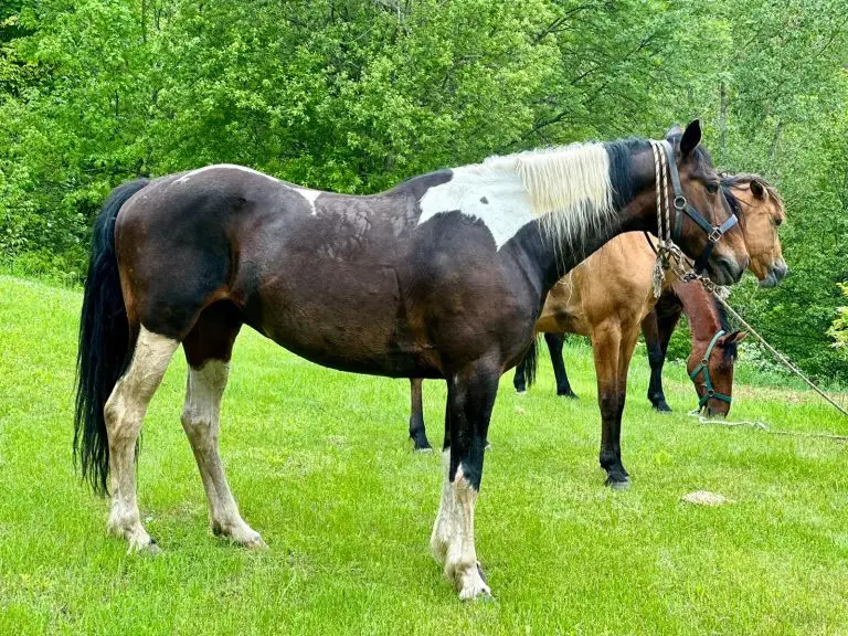 WhatsApp Image 2024 11 26 at 50916 PM