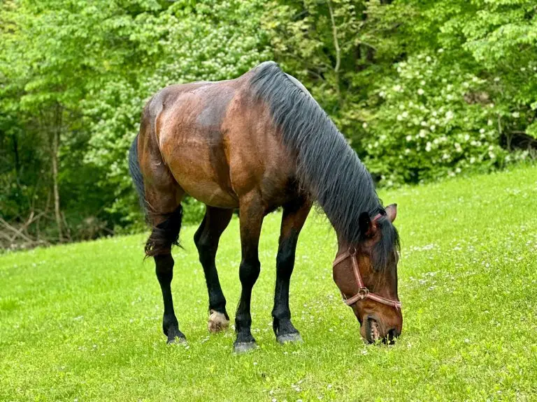 WhatsApp Image 2024 11 26 at 50916 PM