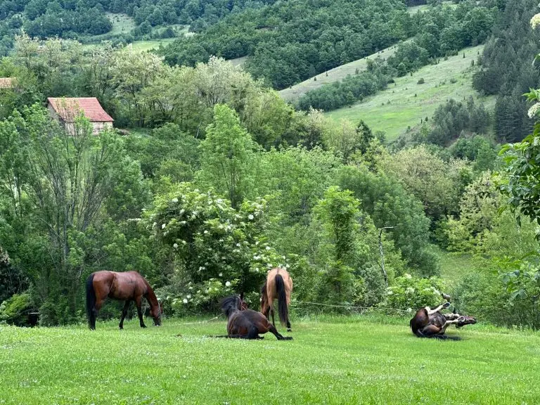 WhatsApp Image 2024 11 26 at 50917 PM