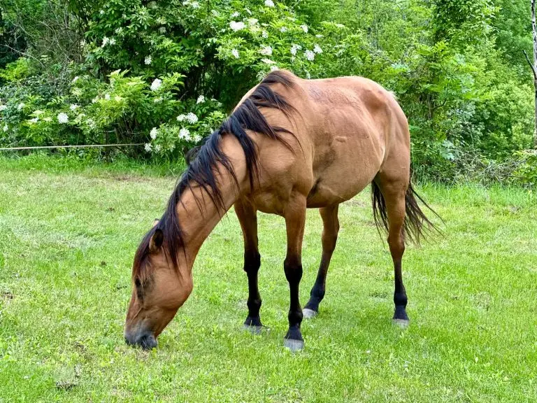 WhatsApp Image 2024 11 26 at 50917 PM