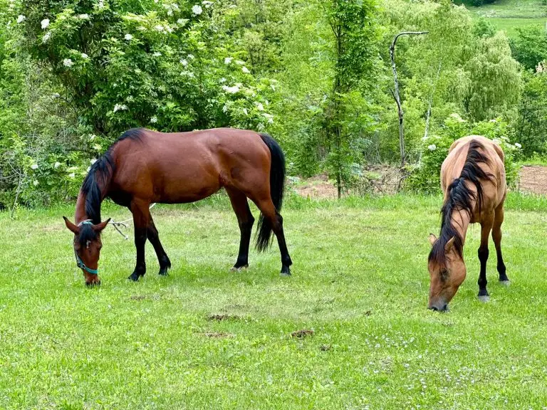 WhatsApp Image 2024 11 26 at 50917 PM