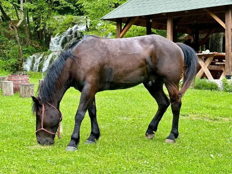 WhatsApp Image 2024 11 26 at 50917 PM