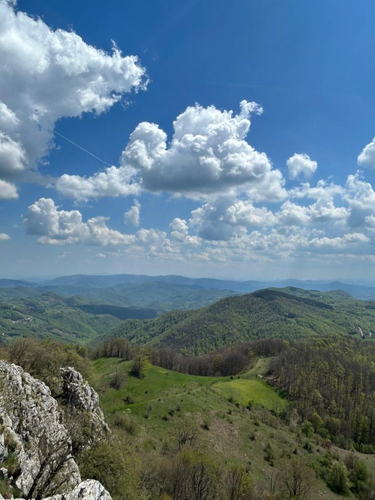 WhatsApp Image 2025 05 08 at 10.49.44 (2)