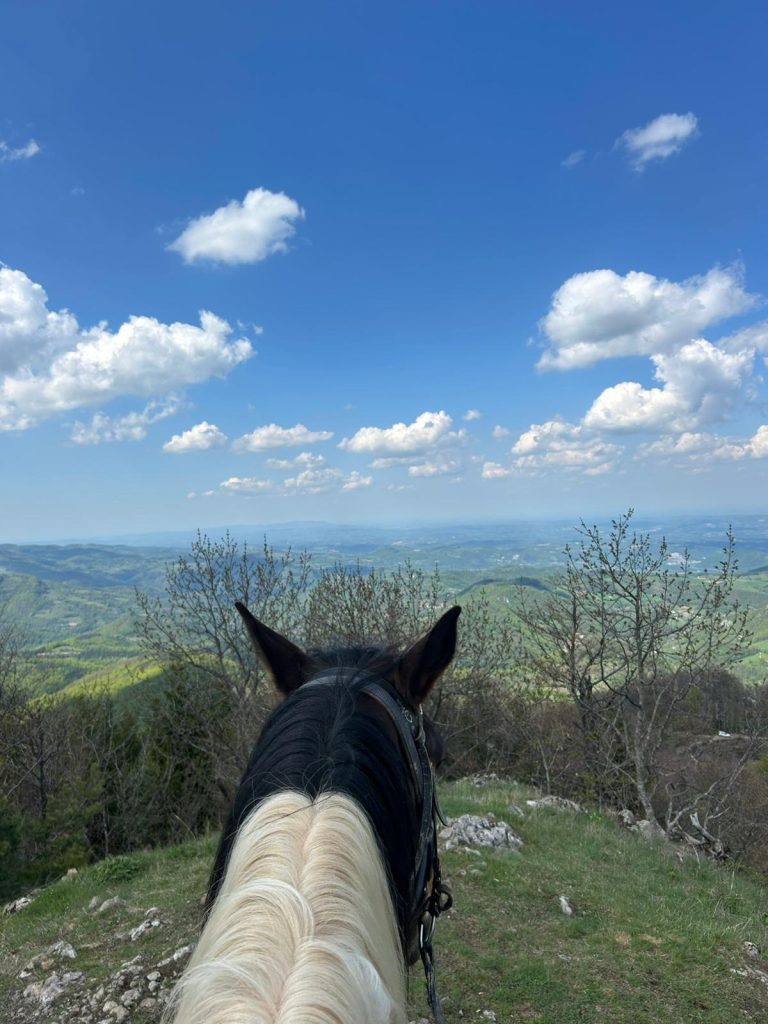 WhatsApp Image 2025 05 08 at 10.49.44