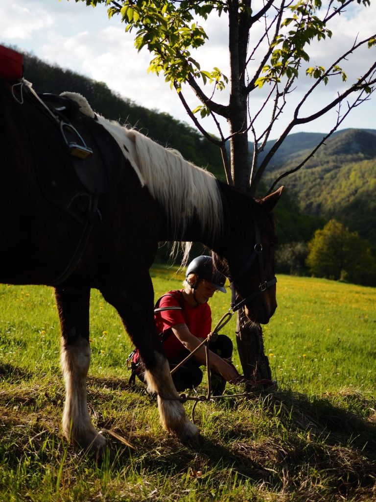 WhatsApp Image 2025 05 08 at 10.49.45 (2)