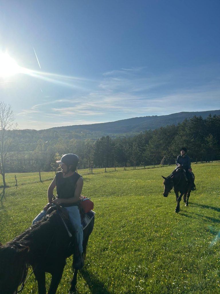 WhatsApp Image 2025 05 08 at 10.49.45