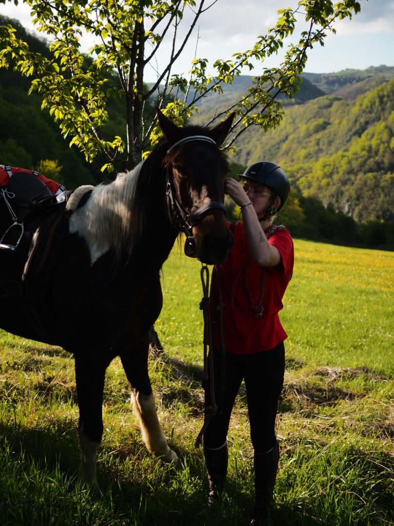 WhatsApp Image 2025 05 08 at 10.49.46