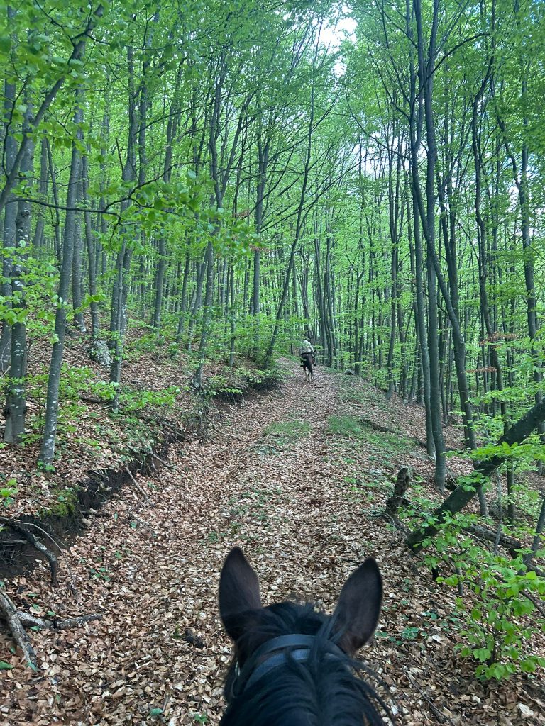 WhatsApp Image 2025 05 08 at 10.49.47 (2)