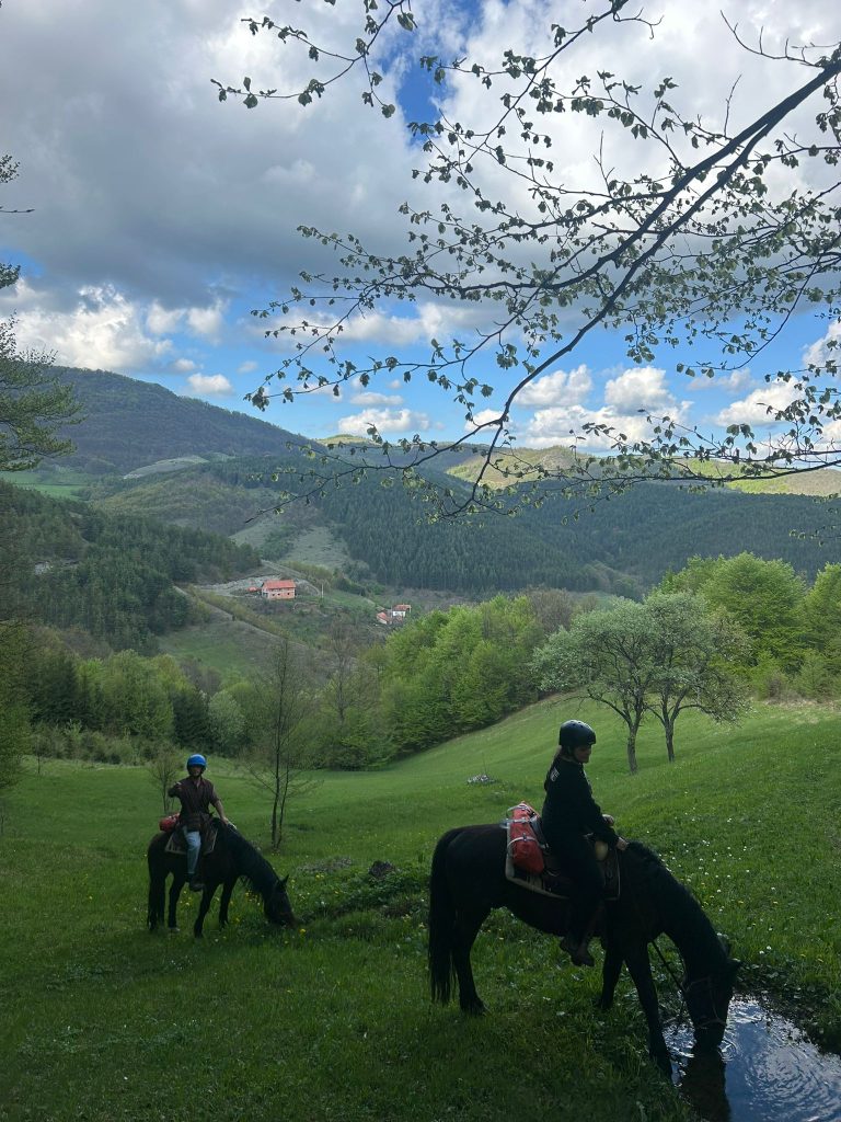 WhatsApp Image 2025 05 08 at 10.49.47 (3)