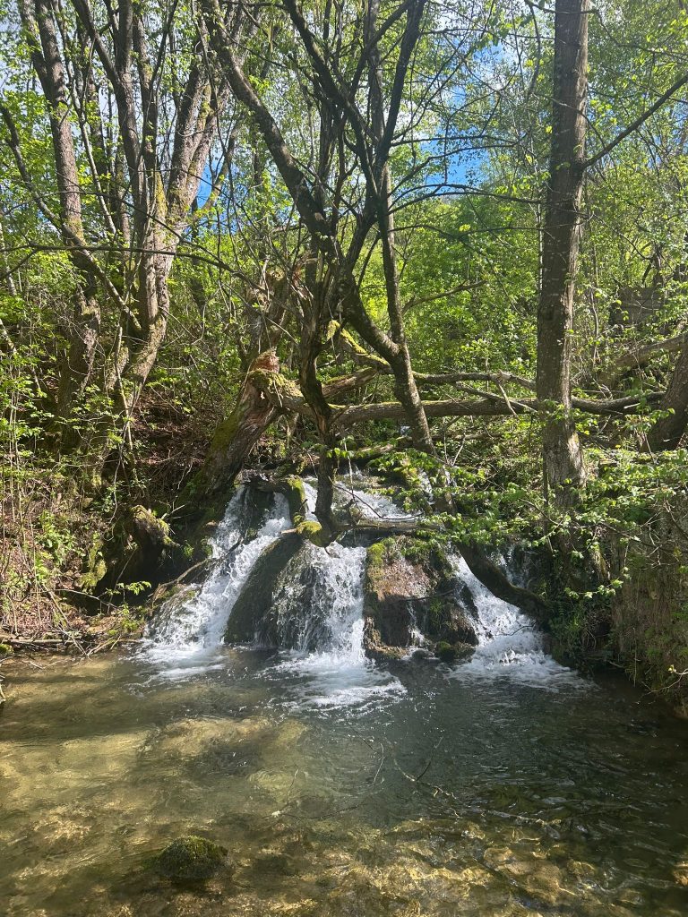 WhatsApp Image 2025 05 08 at 10.49.47 (4)