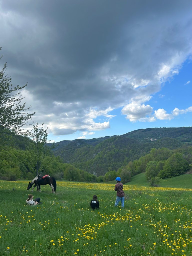 WhatsApp Image 2025 05 08 at 10.49.47