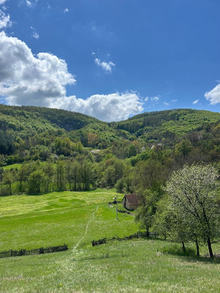 WhatsApp Image 2025 05 08 at 10.49.48 (1)