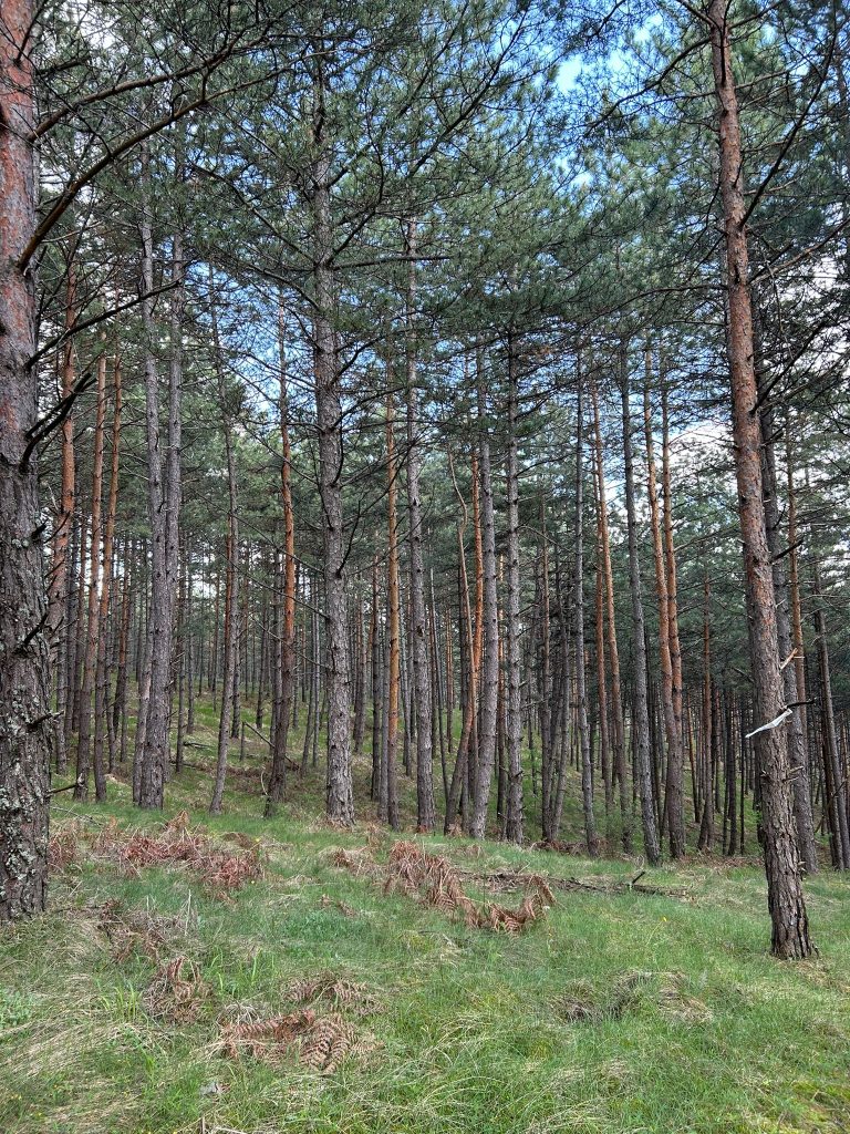 WhatsApp Image 2025 05 08 at 10.49.48 (2)