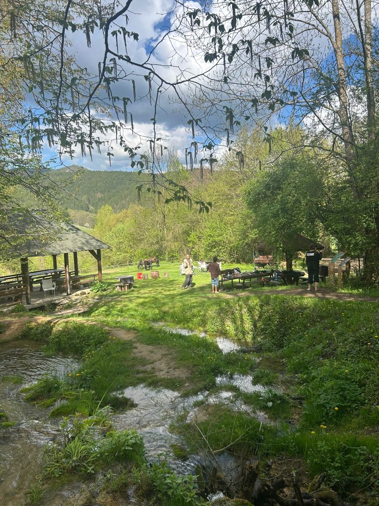 WhatsApp Image 2025 05 08 at 10.49.48