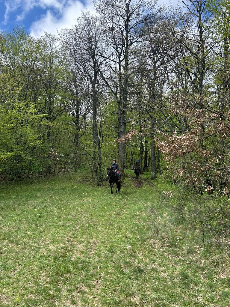 WhatsApp Image 2025 05 08 at 10.49.49 (1)