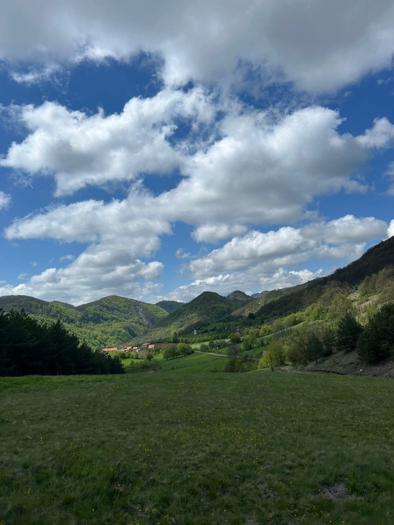 WhatsApp Image 2025 05 08 at 10.49.49 (2)