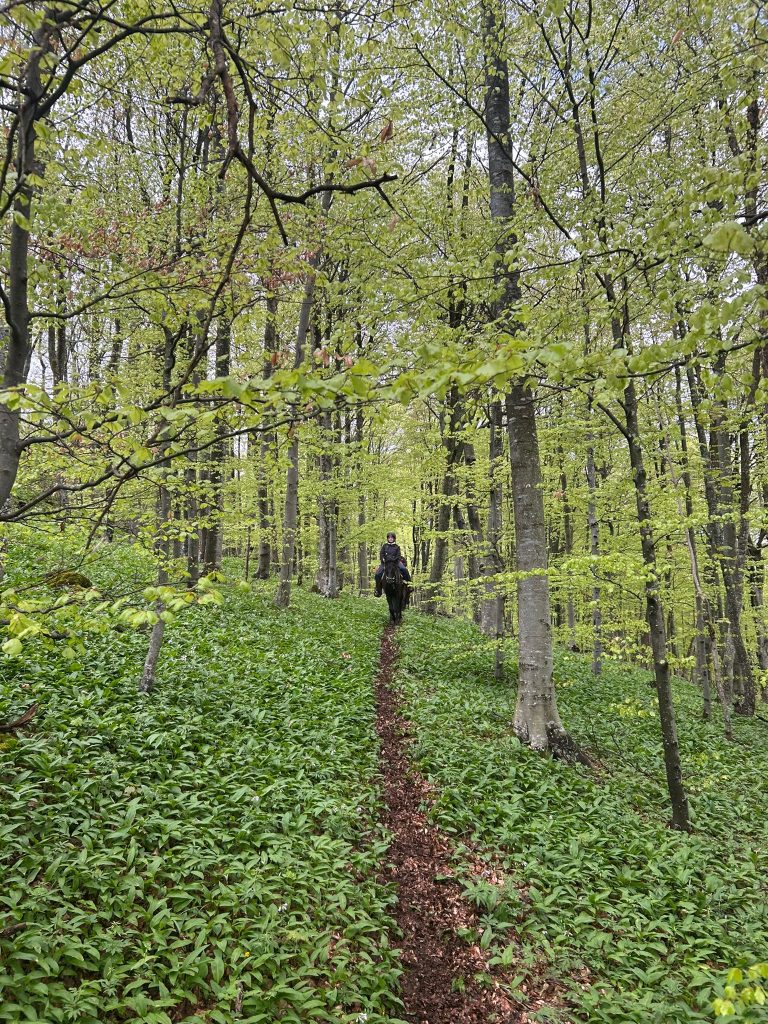 WhatsApp Image 2025 05 08 at 10.49.49 (3)