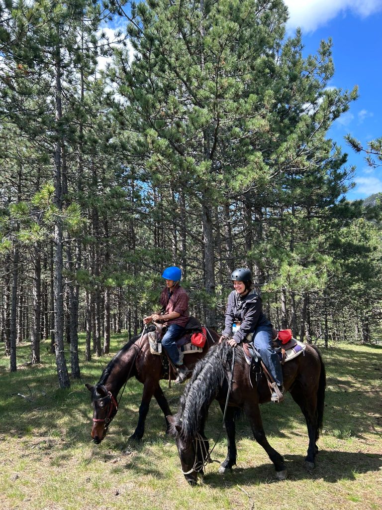 WhatsApp Image 2025 05 08 at 10.49.49