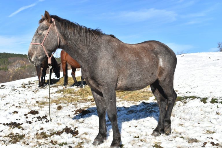 WhatsApp Image 2025 05 14 at 15.11.20