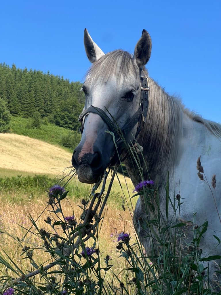 WhatsApp Image 2025 05 14 at 15.12.50