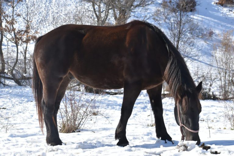 WhatsApp Image 2025 05 14 at 15.15.27