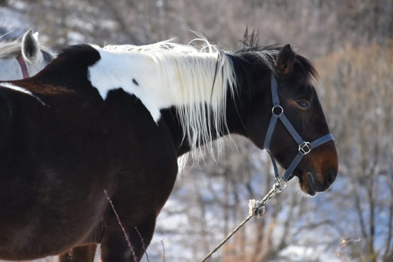 WhatsApp Image 2025 05 14 at 15.16.23