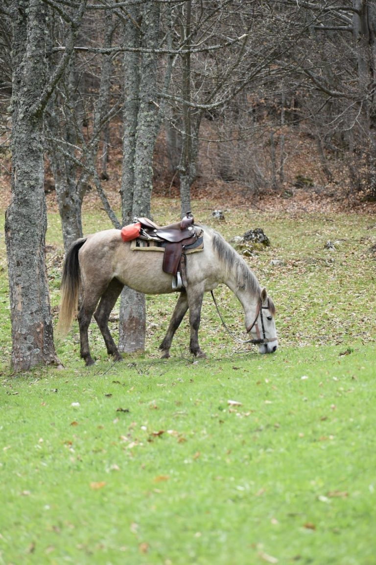 WhatsApp Image 2025 05 14 at 15.45.51