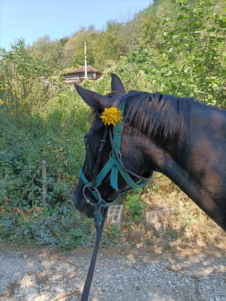 WhatsApp Image 2025 05 14 at 15.56.42 (1)