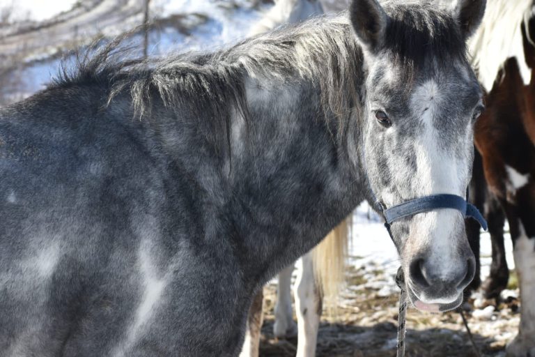 WhatsApp Image 2025 05 14 at 15.56.42 (2)