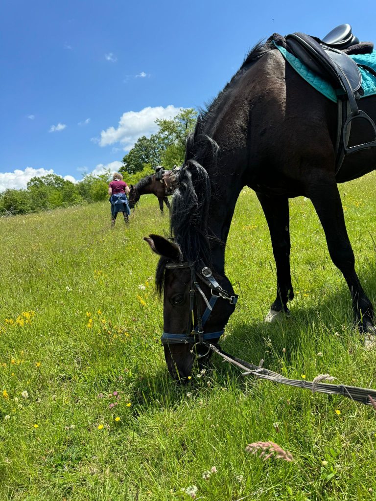 WhatsApp Image 2025 05 14 at 15.56.42 (3)