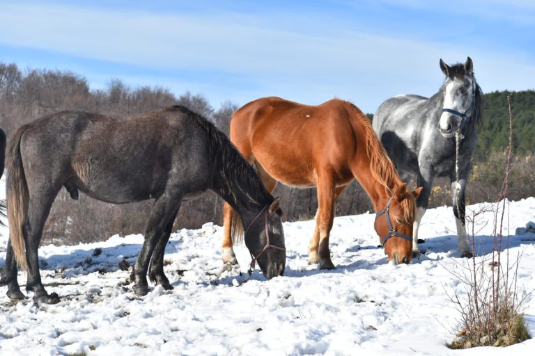 WhatsApp Image 2025 05 14 at 15.56.42